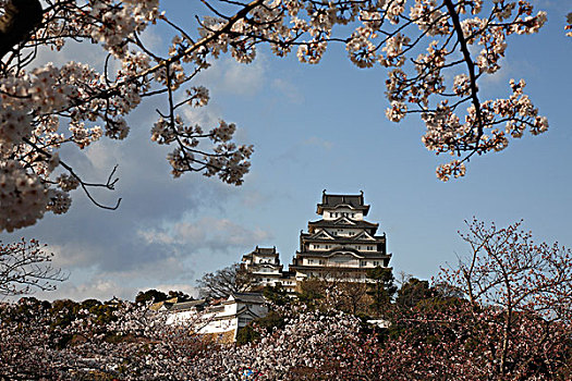 日本,本州,兵库,姬路城堡