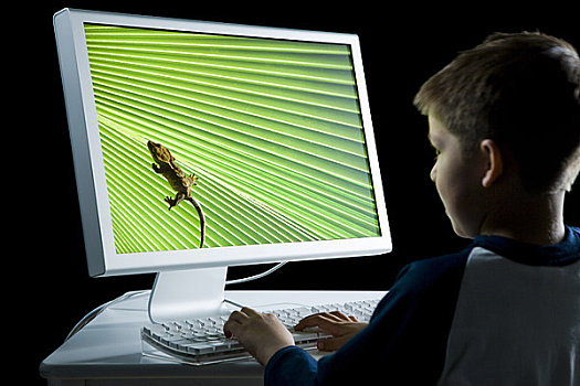 后视图,男孩,电脑,蜥蜴,显示器