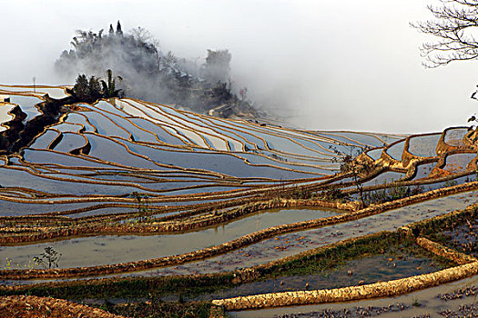 云南元阳梯田