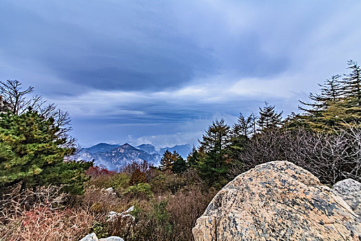 山东省泰安市泰山自然景观