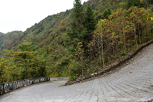 农村山区道路