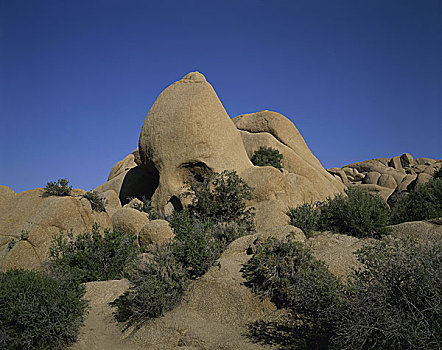 头骨,石头,约书亚树国家公园,加利福尼亚,美国