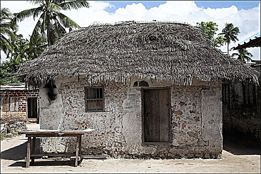 乡村,小屋,茅草屋顶,桑给巴尔岛,非洲