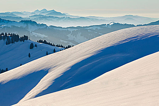 冬天,高,高山,山,东方,瑞士,阿彭策尔,阿尔卑斯山,欧洲