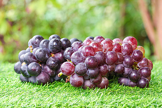 草地上的新鲜葡萄