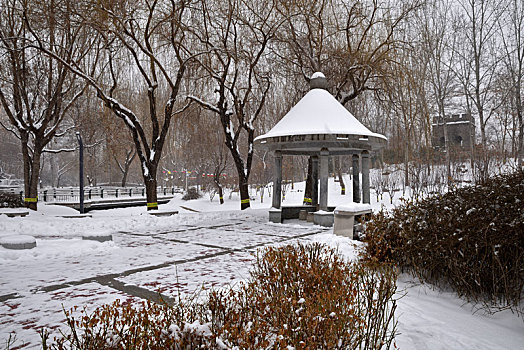 河北省石家庄市公园雪景