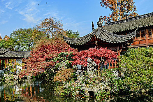 杭州郭庄秋景