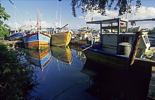 渔船,港口,斯里兰卡