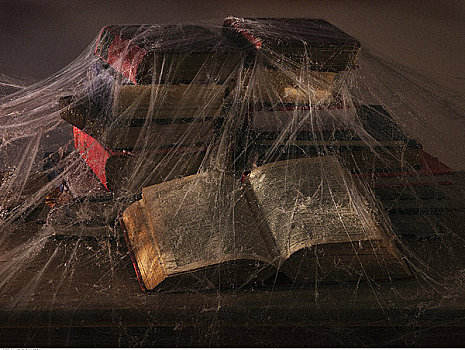 旧书,遮盖,蜘蛛网