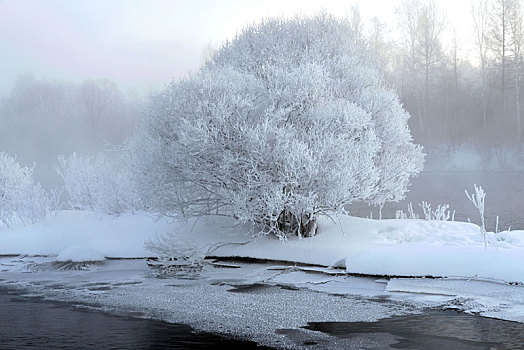 黑河大平台雾凇美景