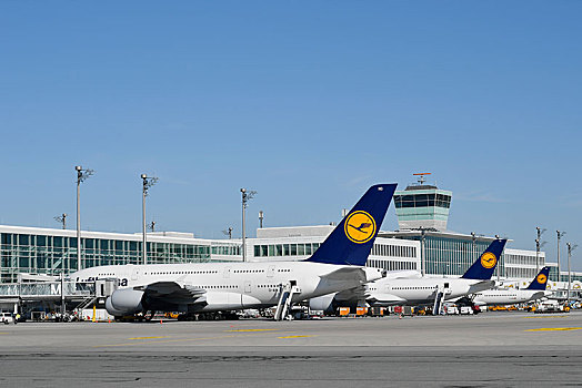 汉莎航空公司,空中客车,航站楼,慕尼黑,机场,上巴伐利亚,巴伐利亚,德国,欧洲
