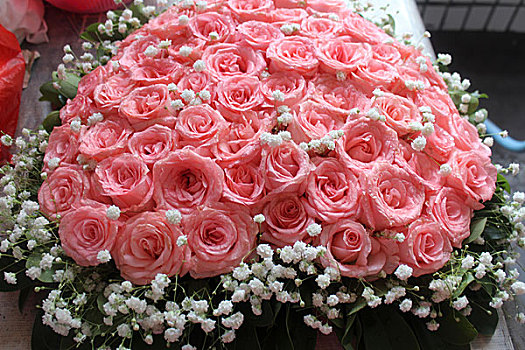 玫瑰花