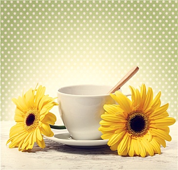 咖啡杯,大,黄色,非洲菊