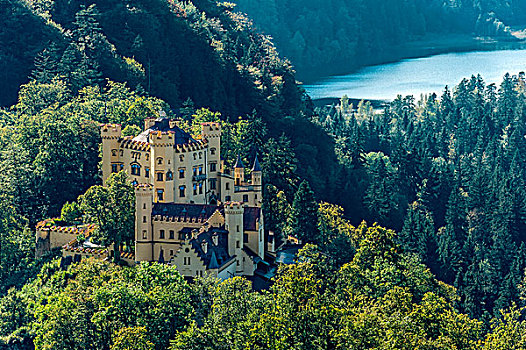 旧天鹅堡,城堡,湖,后面,史旺高,斯瓦比亚,巴伐利亚,德国,欧洲