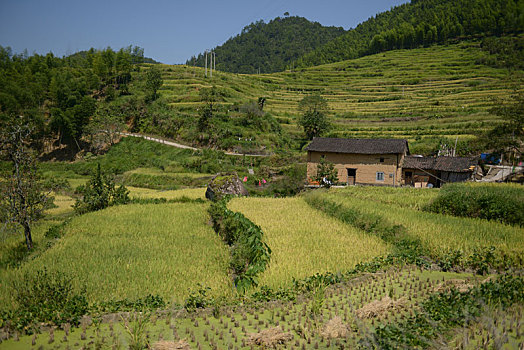 武夷山水