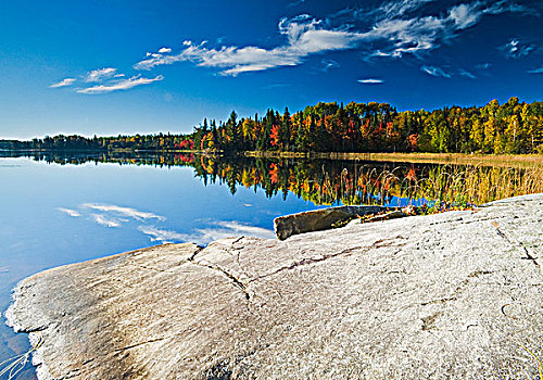 秋天,兔子,湖,靠近,苏人,安大略省,加拿大