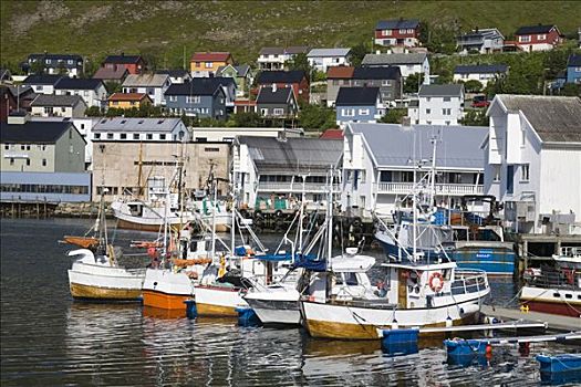 泊船,港口,霍宁斯沃格,岛屿,北角地区,挪威