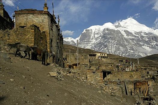 套装,房子,石头,屋顶平台,山,背景,安娜普纳地区,尼泊尔