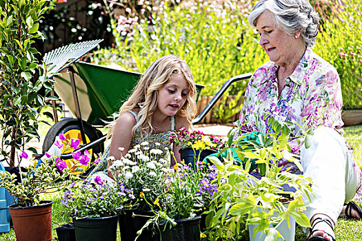 祖母,孙女,园艺,一起,花园