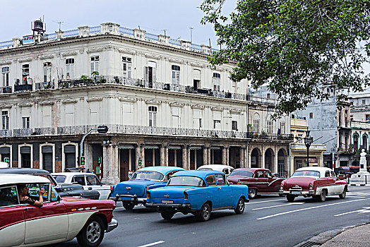 古巴,哈瓦那,公园,中心,老爷车
