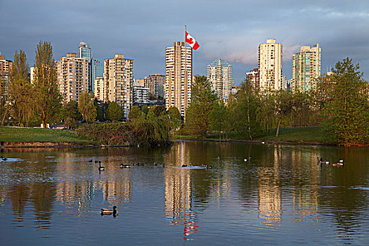 公寓,反射,公园,水塘,温哥华,不列颠哥伦比亚省,加拿大