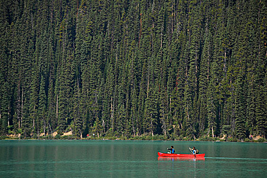 游客,独木舟,路易斯湖,班芙国家公园,加拿大洛基山脉,艾伯塔省,加拿大
