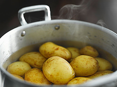 烹饪,新土豆,蒸汽,水