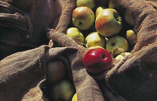 袋,红色,青苹果,水果,食物