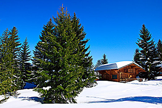 法国,隆河阿尔卑斯山省,阿尔卑斯山,上萨瓦省,木房子,下雪,风景