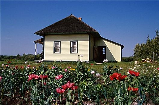 房子,乌克兰,文化遗产,乡村,艾伯塔省,加拿大