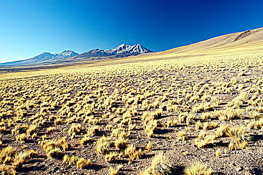 智利,阿塔卡马沙漠,高原