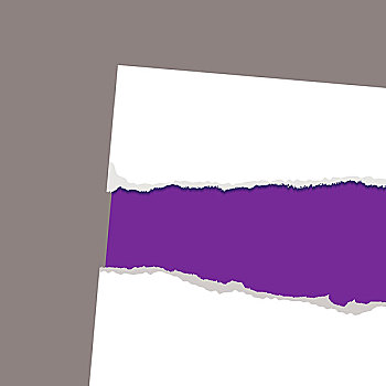 紫色,卡片,背景,白色,纸,撕破,边缘