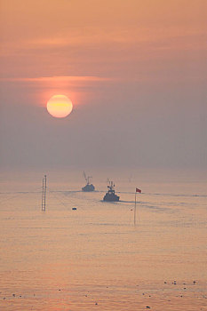 山东省日照市,渔民迎着朝阳驾船出海,成了一道靓丽风景线