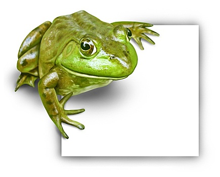 青蛙,空白标志