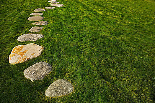 艾伯塔省,加拿大,石头,小路,草