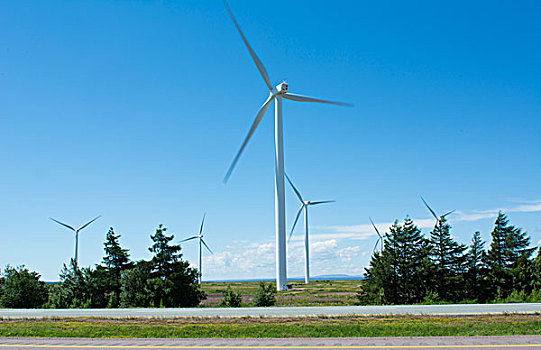 加拿大,新斯科舍省,公路,涡轮,电力,环境,风能,泛加公路