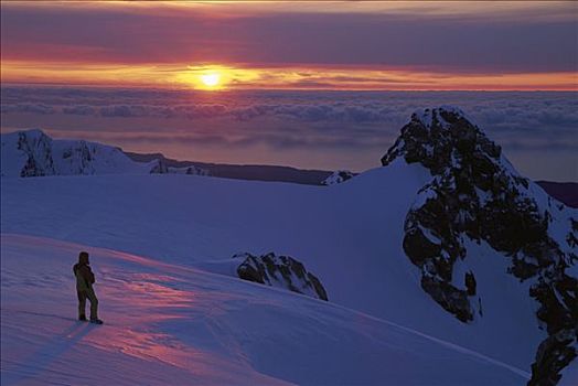 滑雪,登山者,冰河,靠近,顶峰,看,日落,俯视,塔斯曼海,西区国家公园,新西兰