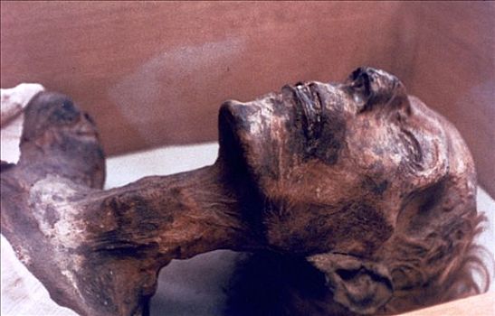 木乃伊,拉美西斯二世,埃及,艺术家,未知