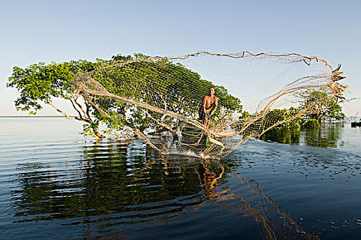 渔民,投掷,网,洪水,树林,里奥内格罗,亚马逊,巴西