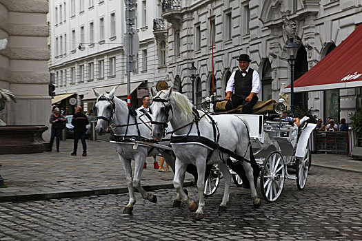 奥地利首都维也纳,vienna