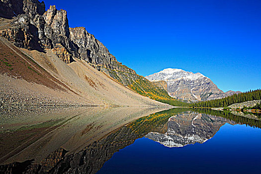 湖,反射,山,庙宇,班芙国家公园,艾伯塔省,加拿大