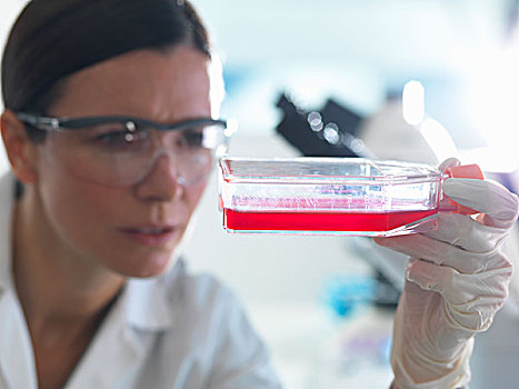 女性,细胞,生物学家,拿着,长颈瓶,干细胞,红色