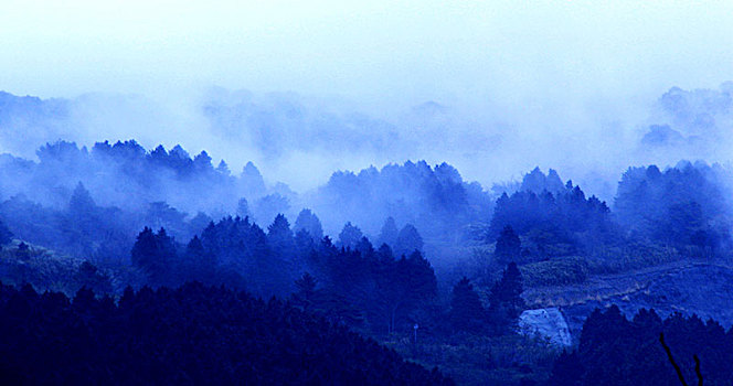 烟雾缭绕的高山森林