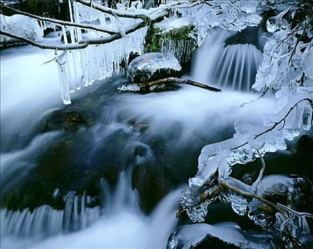 冰柱,悬挂,高处,河,楚加奇州立公园,冬天,景色