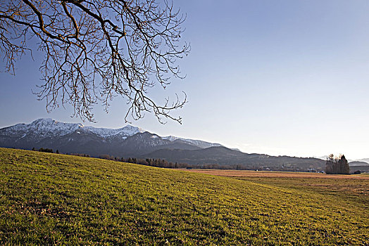 风景,草地,山麓,阿尔卑斯山,巴伐利亚,德国
