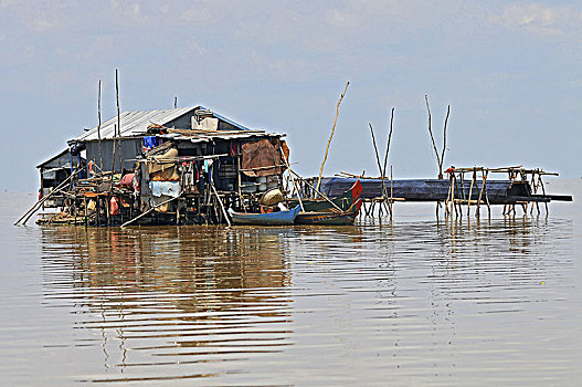 柬埔寨,收获,漂浮,乡村,树液,湖