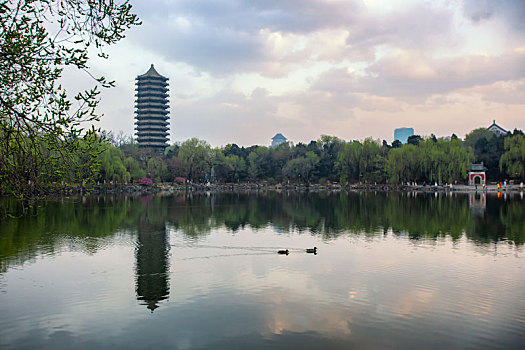 北京大学春天的景色