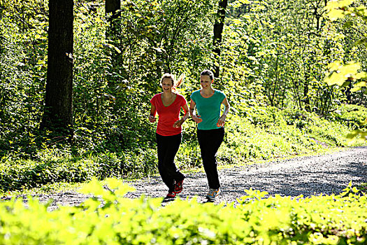 两个,娱乐,跑步者,女青年,25-30岁,慢跑,树林,道路,晴朗