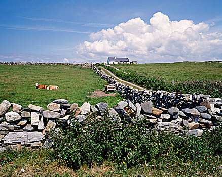 石墙,康纳玛拉,爱尔兰