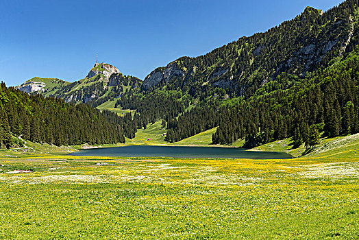 湖,风景,阿彭策尔,瑞士,欧洲